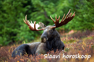 Slaavi horoskoop - VARA-WEB ()