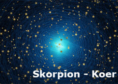 Lääne ja hiina astroloogia tähtkujud: Skorpion-Koer