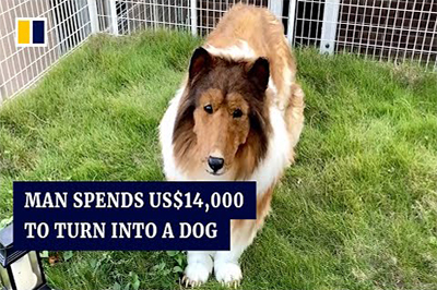 <span>Jaapanlane maksis 14 000 $, et saaks olla koer</span>