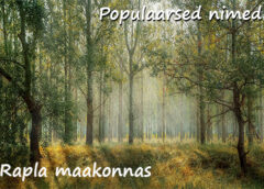 Populaarseimad nimed Rapla maakonnas