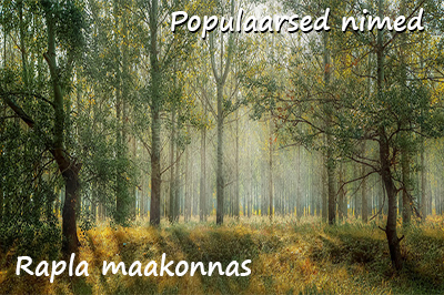 <span>Populaarseimad nimed Rapla maakonnas</span>