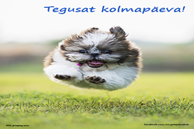 <span>Tegusat kolmapäeva: 08.05.2024</span>